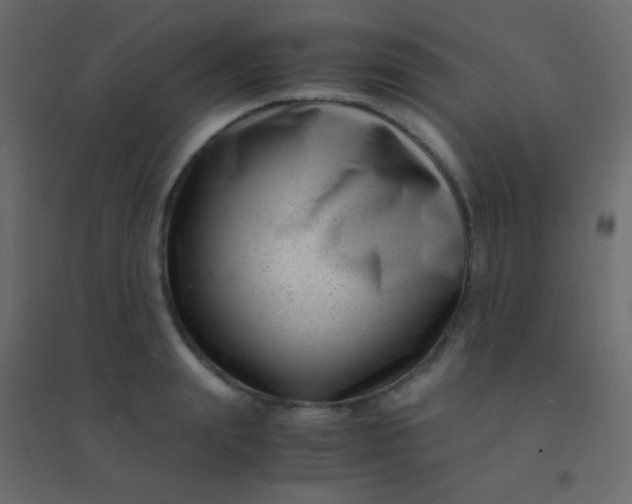 X0000094930847200712131535