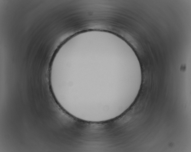 X0000094930848200712131535