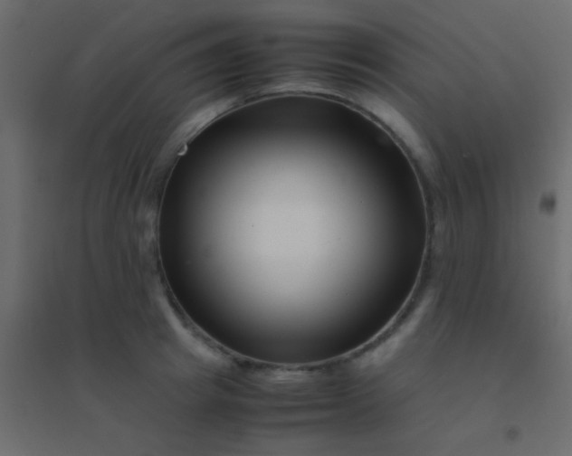 X0000094930849200712131536