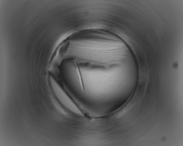 X0000094930850200712131536