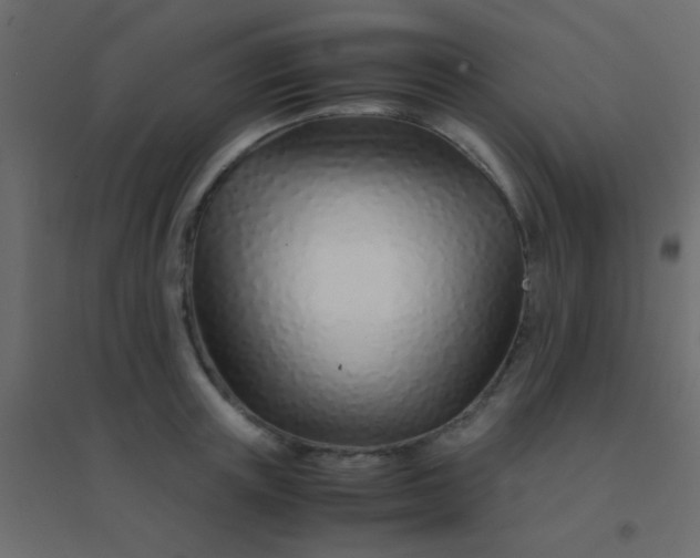 X0000094930851200712131536