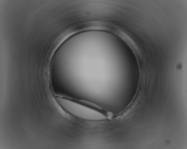 X0000094930852200712131536