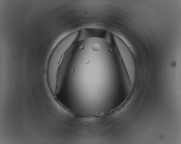 X0000094930853200712131536