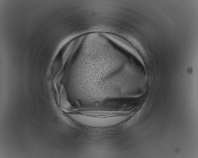 X0000094930854200712131536