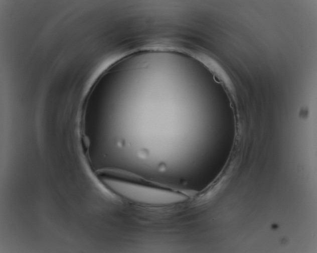 X0000094930855200712131536