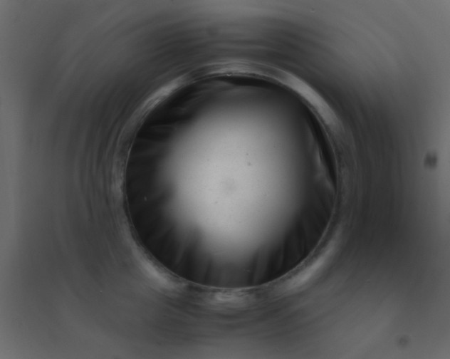X0000094930857200712131536