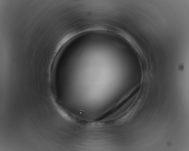 X0000094930858200712131536