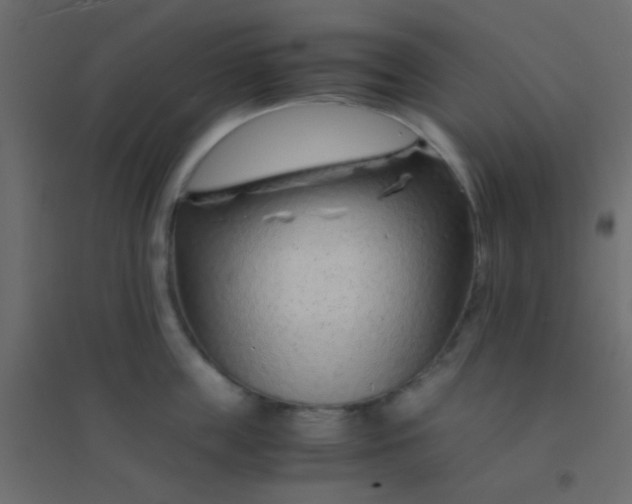 X0000094930859200712131536
