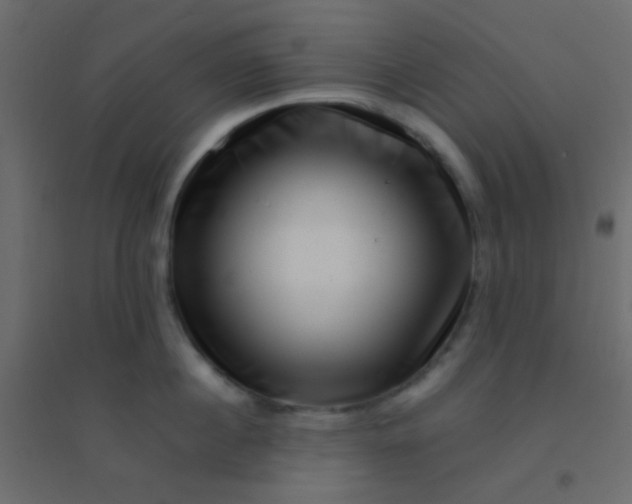 X0000094930860200712131536
