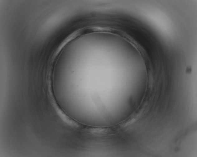 X0000094930861200712131536
