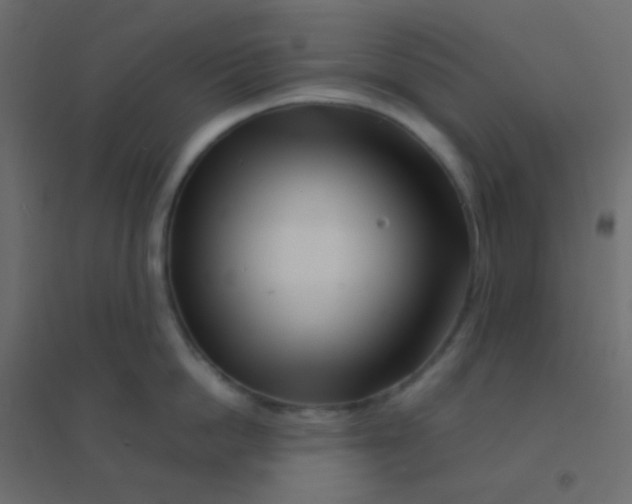 X0000094930862200712131536