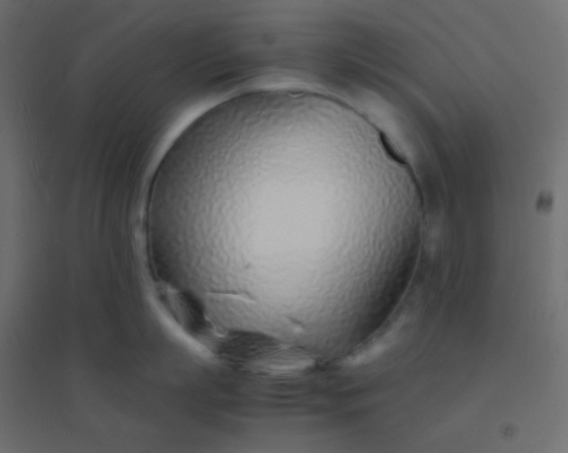 X0000094930863200712131536