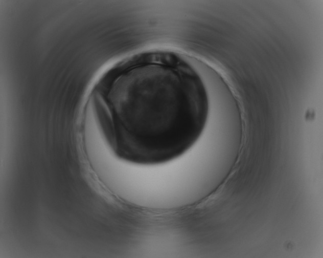 X0000094930864200712131536