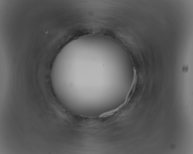 X0000094930865200712131535