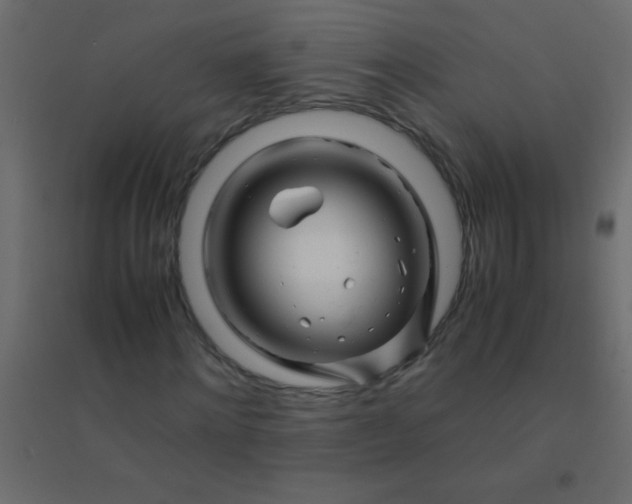 X0000094930868200712131535