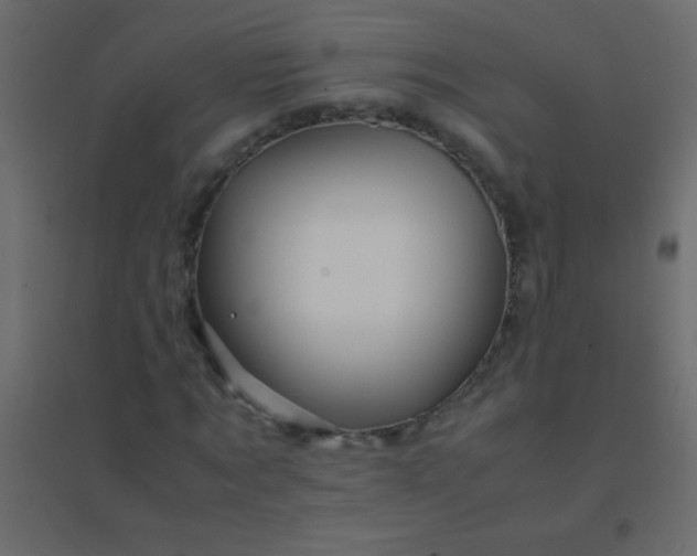 X0000094930869200712131535