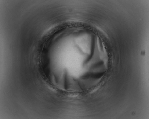 X0000094930870200712131535