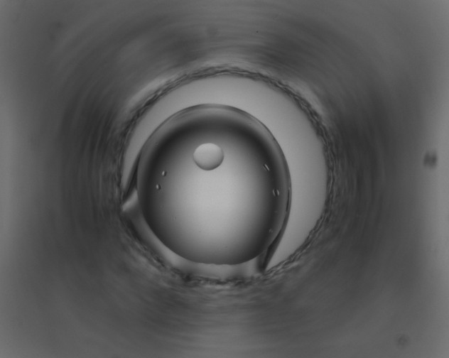 X0000094930872200712131535