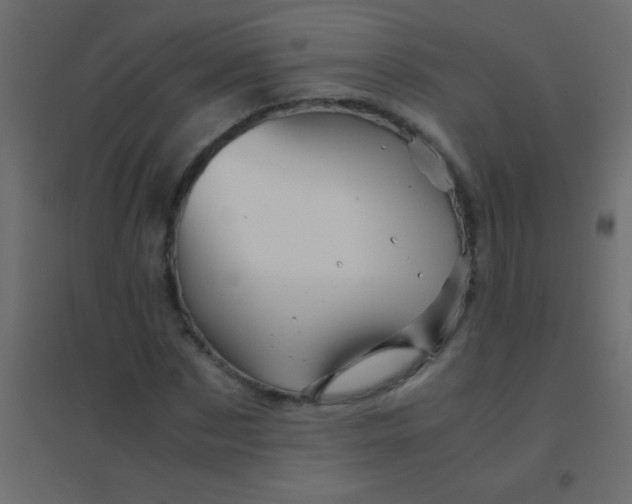 X0000094930873200712131535