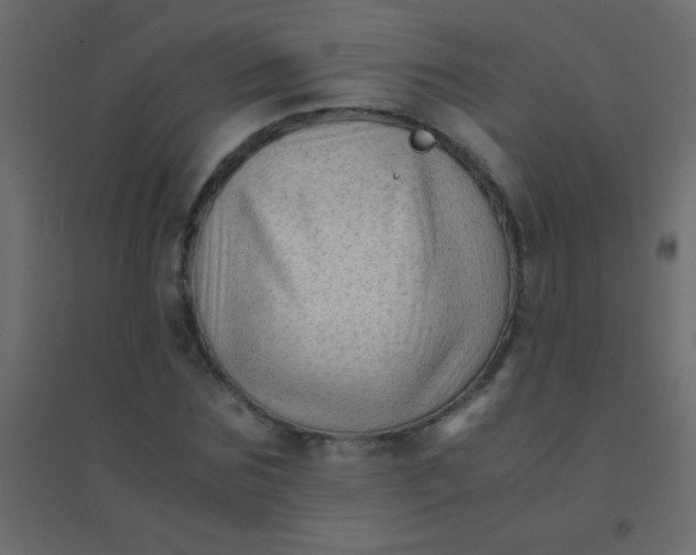 X0000094930875200712131535