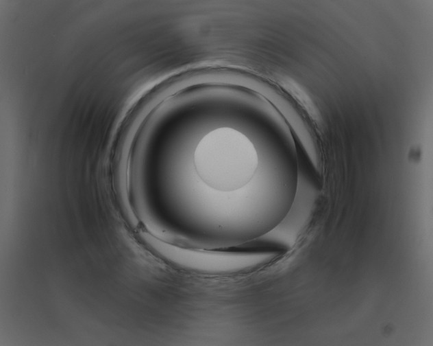X0000094930876200712131535