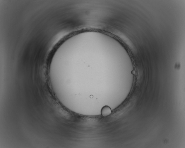 X0000094930878200712131535