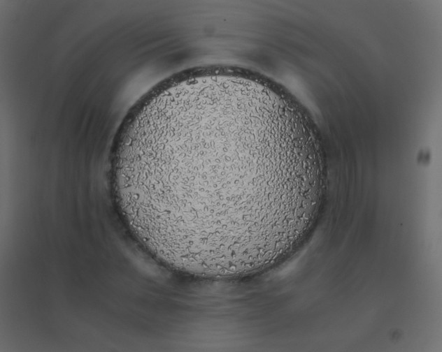 X0000094930879200712131535