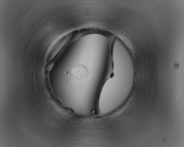 X0000094930880200712131535