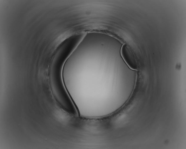 X0000094930881200712131535