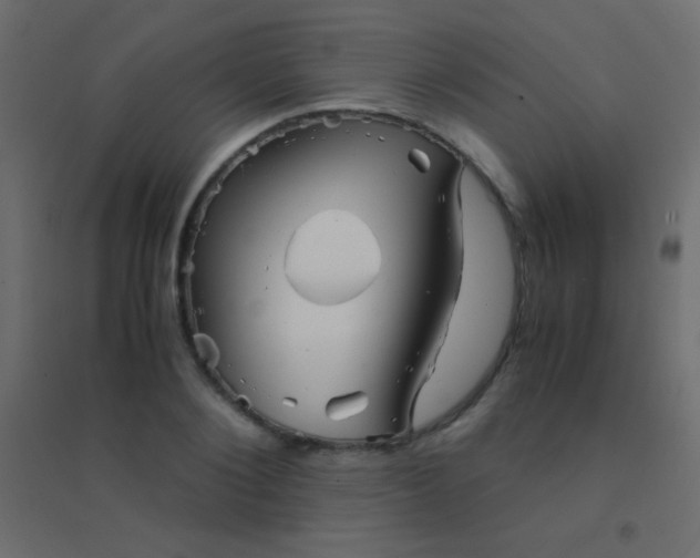 X0000094930884200712131535