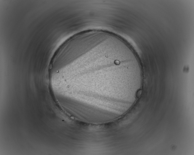 X0000094930887200712131535