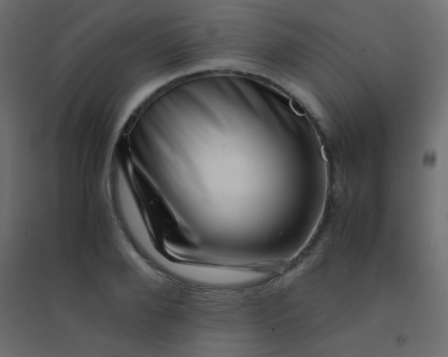 X0000094930888200712131535