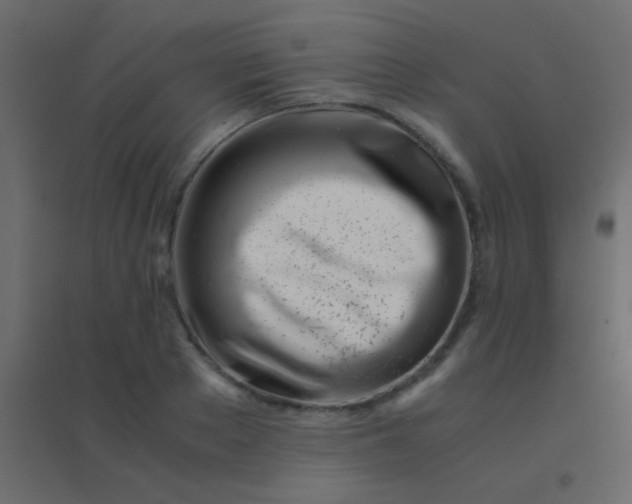 X0000094930889200712131535