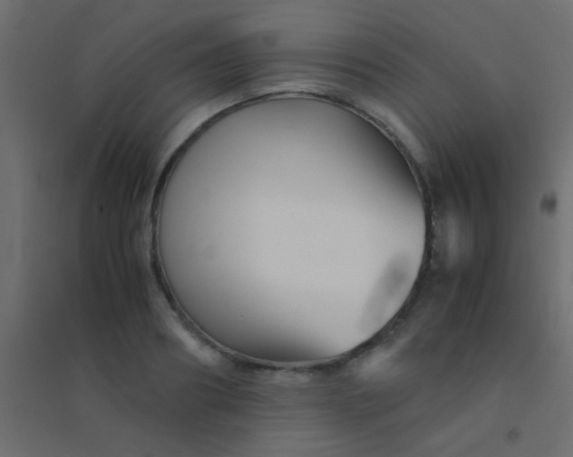 X0000094930890200712131535