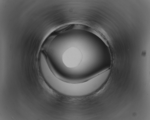 X0000094930892200712131535