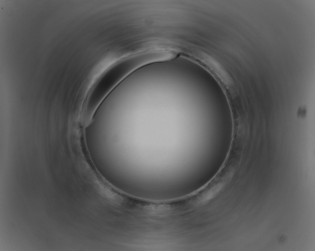 X0000094930893200712131535