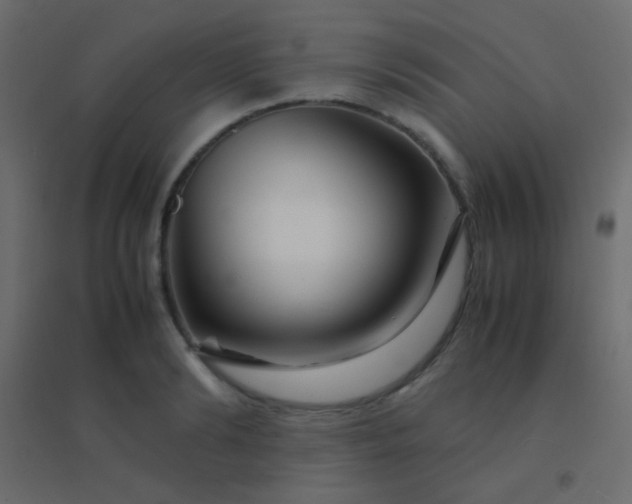 X0000094930894200712131535
