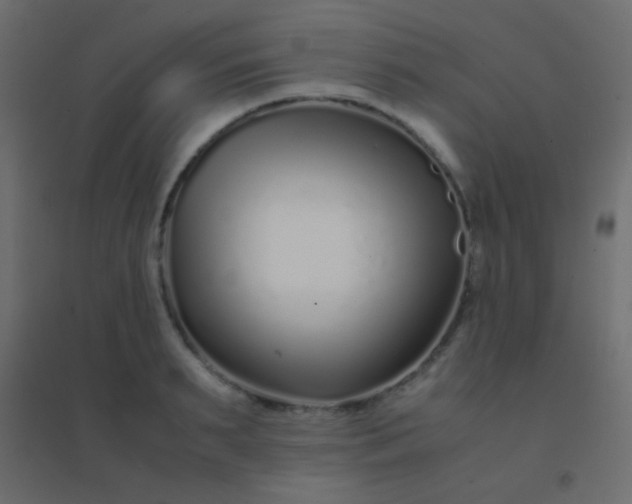 X0000094930895200712131535
