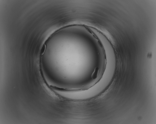 X0000094930896200712131535
