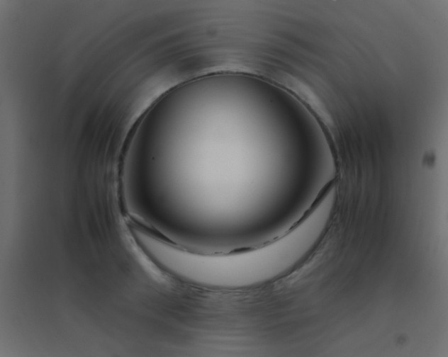 X0000094930898200712131535