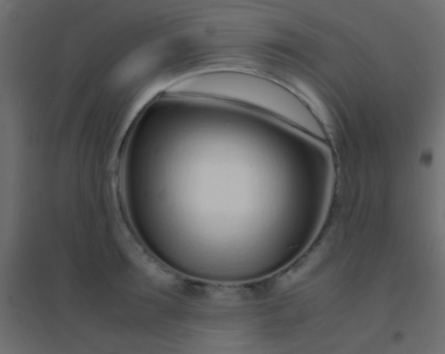 X0000094930899200712131535