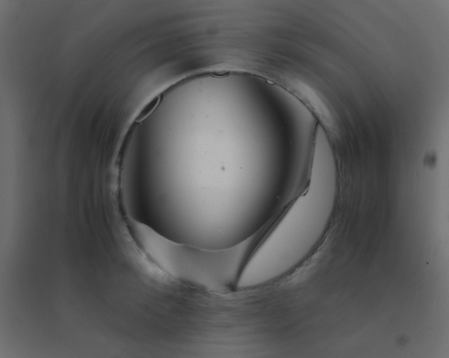 X0000094930900200712131534