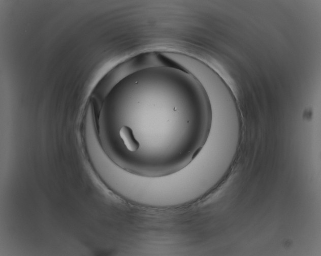 X0000094930901200712131534