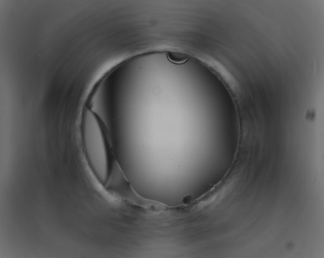 X0000094930902200712131534