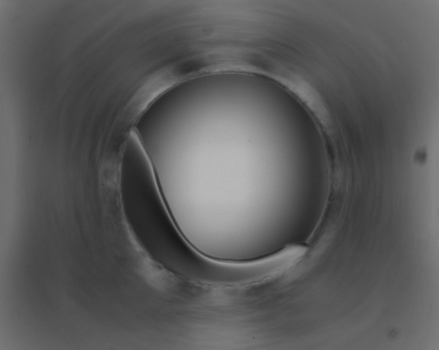 X0000094930905200712131534
