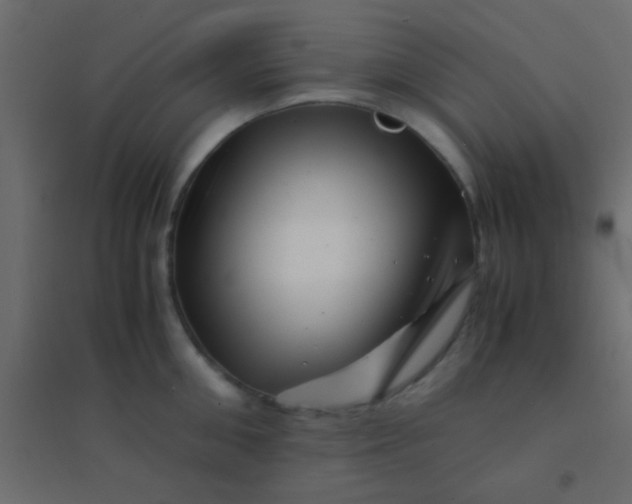 X0000094930906200712131534