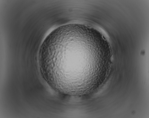 X0000094930907200712131534