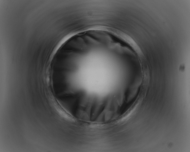 X0000094930908200712131534
