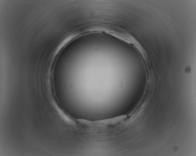 X0000094930909200712131534