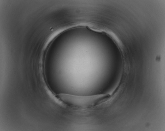 X0000094930910200712131534